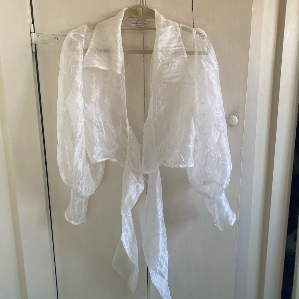 Maison Cleo Julie Crinkled Silk Organza Blouse xs - Picture 11 of 13